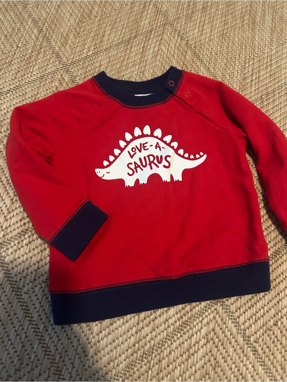 Cat & Jack Red Sweatshirt with Navy Trim and White Dinosaur Graphic